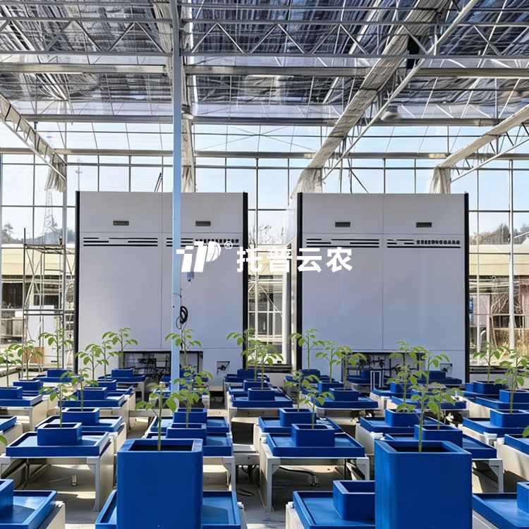 高通量植物表型采集分析平臺(tái)